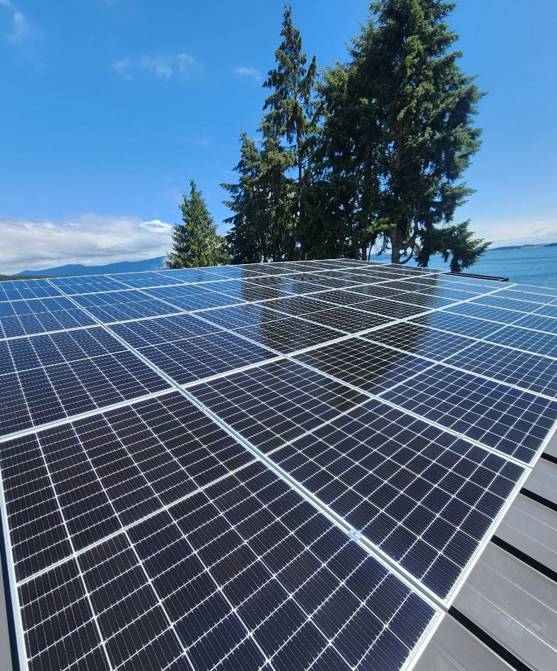 Rooftop view over looking solar panels installed on a home nesr the ocean. There are some large trees and ocean visible in the background.