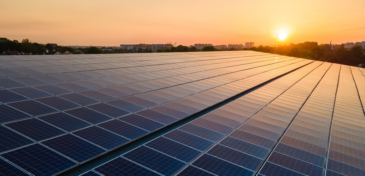 roof top view of an expansive solar installation. There is a city skyline with a sunset in the background.